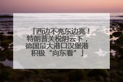 西边不亮东边亮！特朗普关税阴云下，德国最大港口汉堡港积极“向东看”