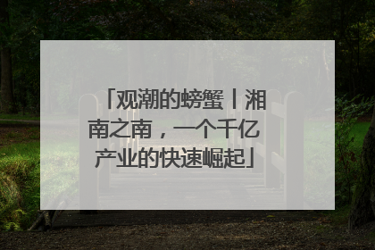 观潮的螃蟹丨湘南之南，一个千亿产业的快速崛起