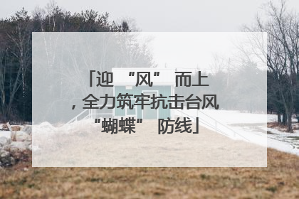 迎 “风” 而上，全力筑牢抗击台风 “蝴蝶” 防线