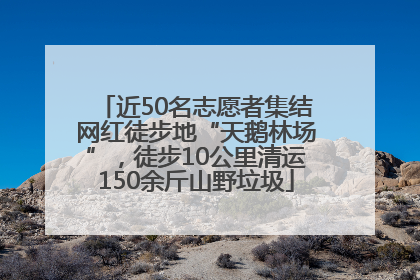 近50名志愿者集结网红徒步地“天鹅林场”，徒步10公里清运150余斤山野垃圾