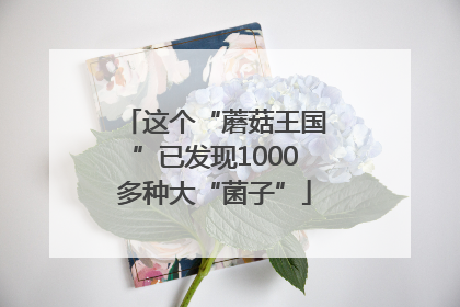 这个“蘑菇王国”已发现1000多种大“菌子”