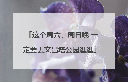 这个周六、周日晚 一定要去文昌塔公园逛逛
