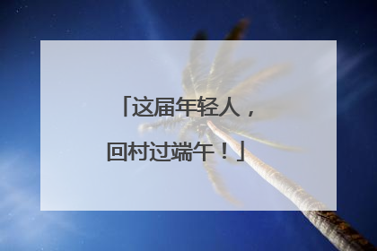 这届年轻人，回村过端午！