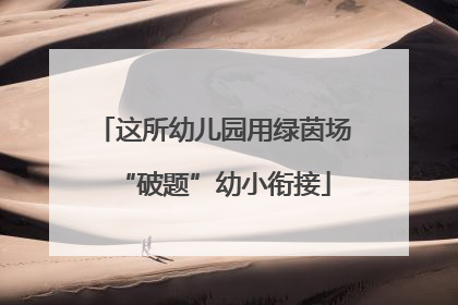 这所幼儿园用绿茵场“破题”幼小衔接