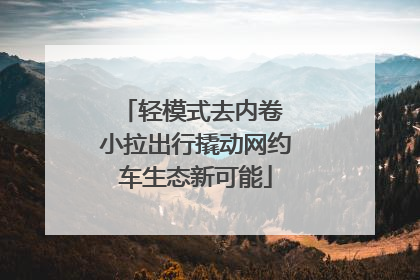 轻模式去内卷 小拉出行撬动网约车生态新可能