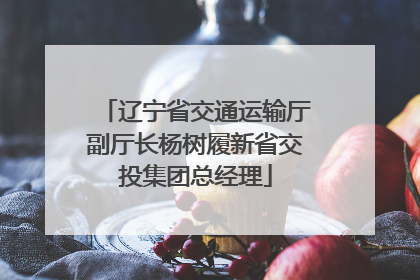辽宁省交通运输厅副厅长杨树履新省交投集团总经理