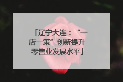 辽宁大连：“一店一策”创新提升零售业发展水平