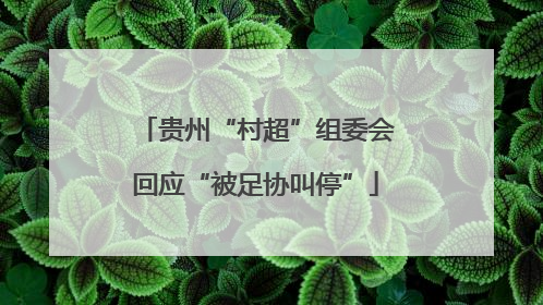 贵州“村超”组委会回应“被足协叫停”