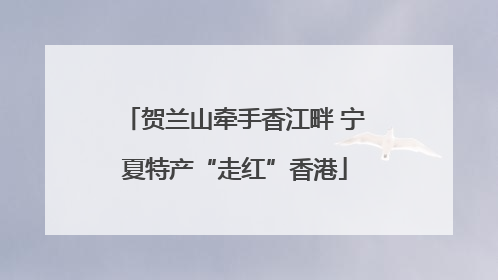 贺兰山牵手香江畔 宁夏特产“走红”香港