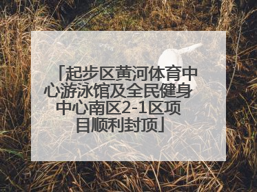 起步区黄河体育中心游泳馆及全民健身中心南区2-1区项目顺利封顶