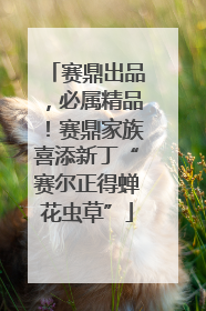 赛鼎出品，必属精品！赛鼎家族喜添新丁“赛尔正得蝉花虫草”