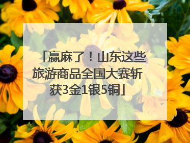 赢麻了！山东这些旅游商品全国大赛斩获3金1银5铜