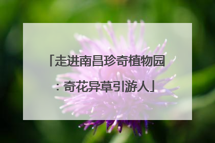 走进南昌珍奇植物园：奇花异草引游人