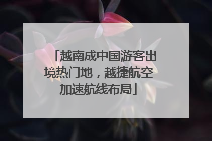 越南成中国游客出境热门地，越捷航空加速航线布局