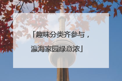 趣味分类齐参与，瀛海家园绿意浓
