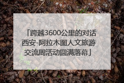 跨越3600公里的对话 西安-阿拉木图人文旅游交流周活动圆满落幕
