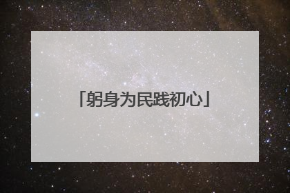 躬身为民践初心