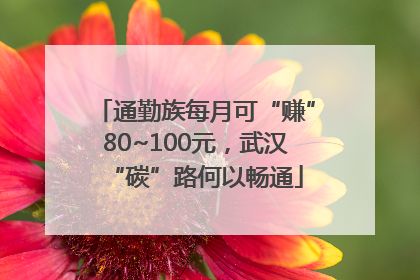 通勤族每月可“赚”80~100元，武汉“碳”路何以畅通
