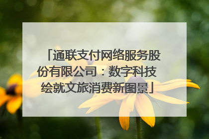 通联支付网络服务股份有限公司：数字科技绘就文旅消费新图景