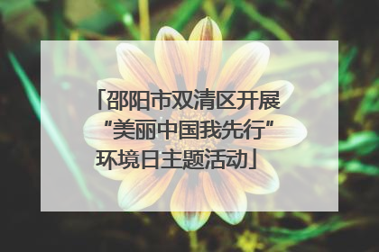 邵阳市双清区开展“美丽中国我先行”环境日主题活动