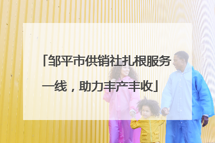 邹平市供销社扎根服务一线，助力丰产丰收