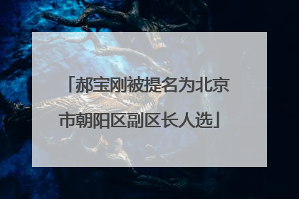 郝宝刚被提名为北京市朝阳区副区长人选