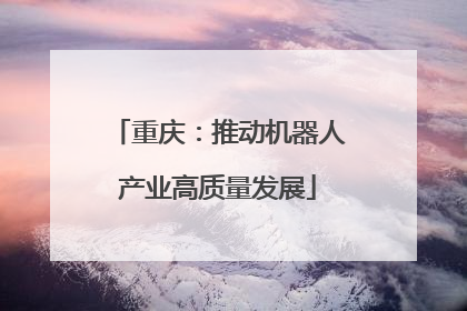 重庆：推动机器人产业高质量发展