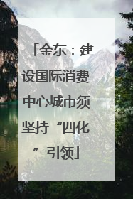 金东：建设国际消费中心城市须坚持“四化”引领