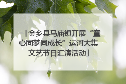 金乡县马庙镇开展“童心同梦同成长”运河大集文艺节目汇演活动