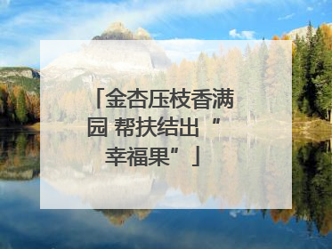 金杏压枝香满园 帮扶结出“幸福果”