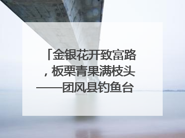 金银花开致富路，板栗青果满枝头——团风县钓鱼台村“山水生金”谱写共富新篇章