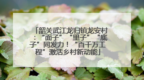 韶关武江龙归镇龙安村：“面子”“里子”“底子”同发力！“百千万工程”激活乡村新动能