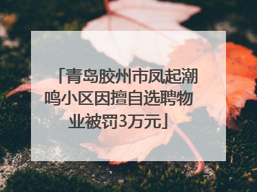 青岛胶州市凤起潮鸣小区因擅自选聘物业被罚3万元