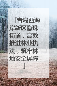青岛西海岸新区隐珠街道：高效推进林业执法，筑牢林地安全屏障