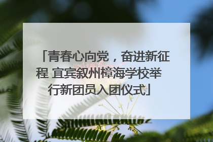 青春心向党，奋进新征程 宜宾叙州樟海学校举行新团员入团仪式