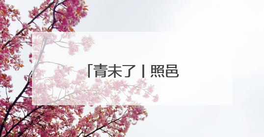 青未了丨照邑朴学文脉长
