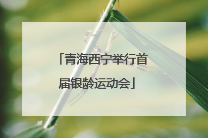 青海西宁举行首届银龄运动会