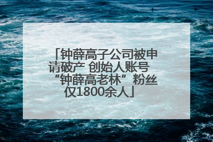 钟薛高子公司被申请破产 创始人账号“钟薛高老林”粉丝仅1800余人