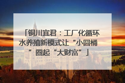 铜川宜君：工厂化循环水养殖新模式让“小圆桶”圈起“大财富”