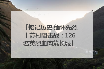 铭记历史 缅怀先烈丨苏村阻击战：126名英烈血肉筑长城