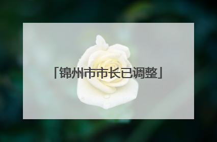 锦州市市长已调整
