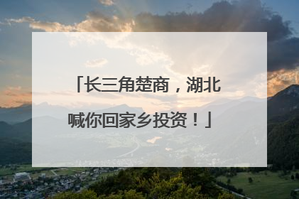 长三角楚商，湖北喊你回家乡投资！