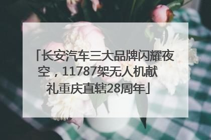 长安汽车三大品牌闪耀夜空，11787架无人机献礼重庆直辖28周年