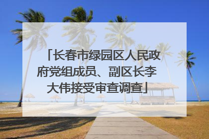 长春市绿园区人民政府党组成员、副区长李大伟接受审查调查