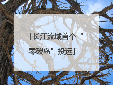 长江流域首个“零碳岛”投运
