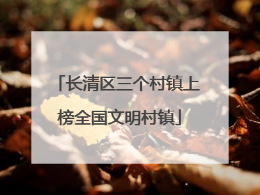 长清区三个村镇上榜全国文明村镇