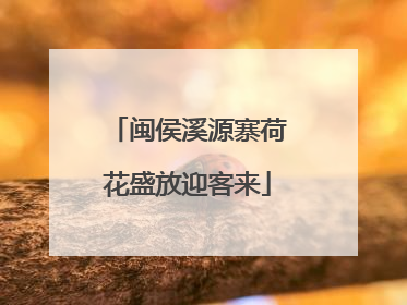 闽侯溪源寨荷花盛放迎客来