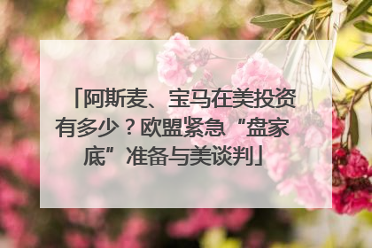 阿斯麦、宝马在美投资有多少？欧盟紧急“盘家底”准备与美谈判