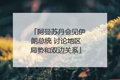 阿曼苏丹会见伊朗总统 讨论地区局势和双边关系