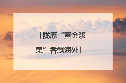 陇原“黄金浆果”香飘海外